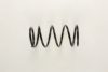 SUZUK 4131161G Coil Spring